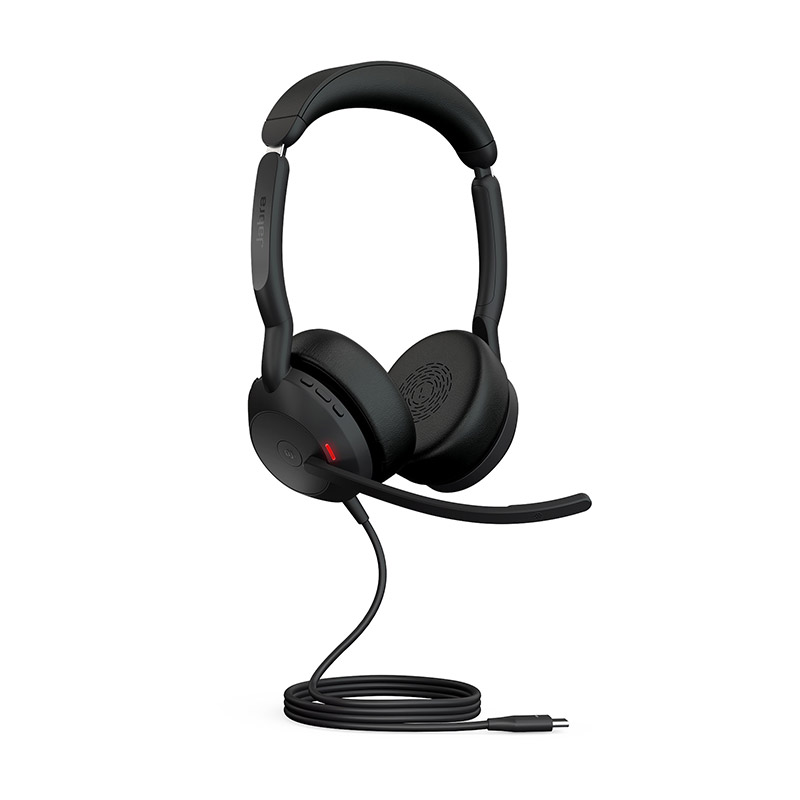 Jabra Evolve2 50 USB-C MS Stereo