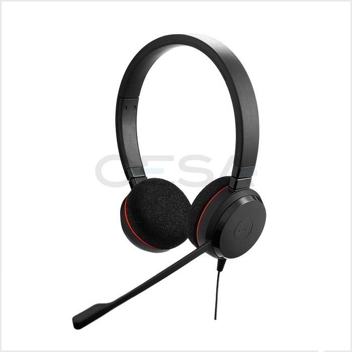 Jabra Evolve 20 Duo