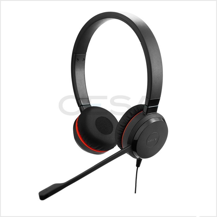 Jabra Evolve 30 Duo