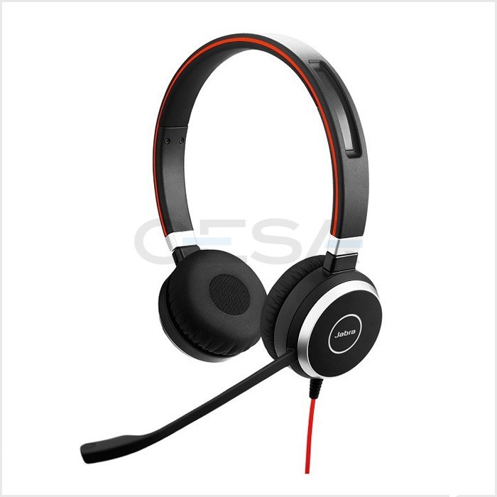 Jabra Evolve 40 Duo